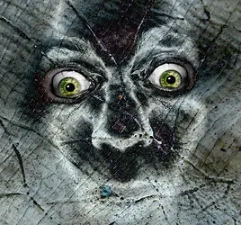 scary-halloween-ghost-boo-face-20806.webp