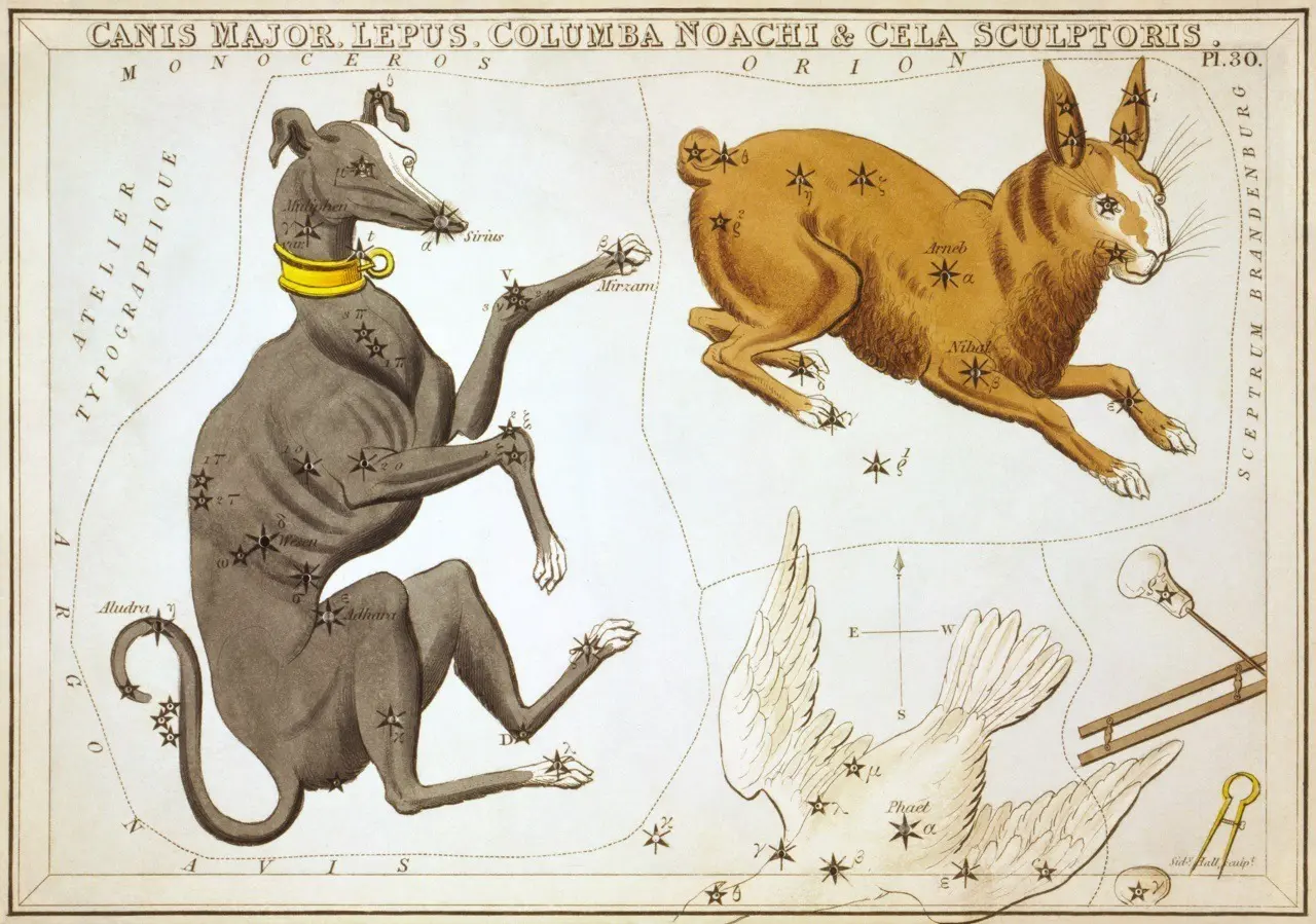 constellation-canis-major.webp