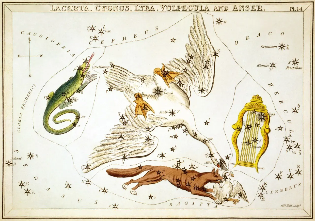 constellation-cygnus.webp