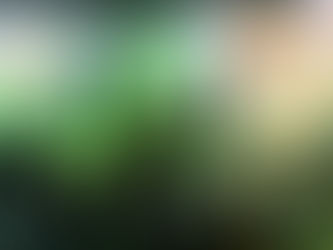 Read-Aloud Adventures with Early READ