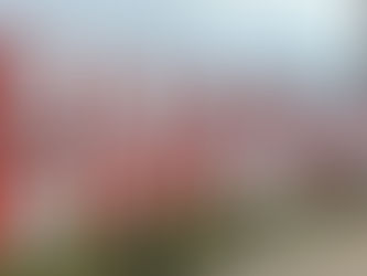 Democracy Do-List | March 11, 2026