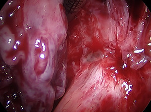 ch1_image_003.jpg