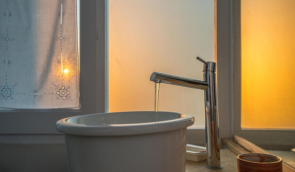 House PSILI Toilette 1
