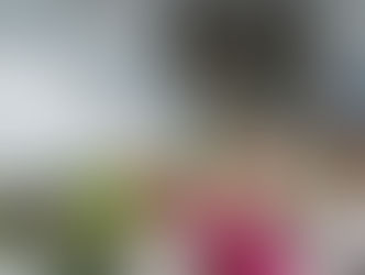 蟲草靈芝抗肺炎?
