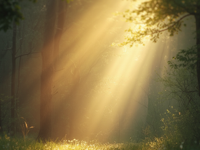The Fear That Never Fully Goes Away: Learning to Live with Uncertainty After Cancer