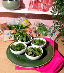 130A3713-Avec accentuation-Bruit.jpg