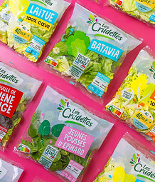 CRUDETTES_3004_STORY_SALADE_ECRAN01_edit