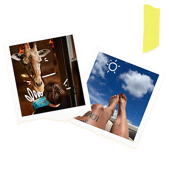 polaroid_elements.png