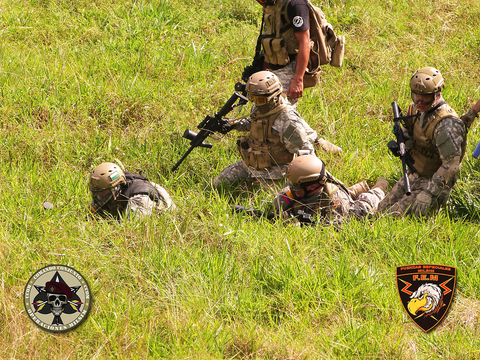 FuerzasEspecialesMilsim-juego071220140054.jpg