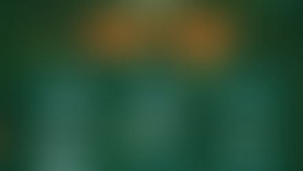 תקציב המועצה לשנת 2024