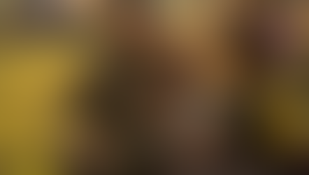 חיילים ומילואמניקים שמו לב