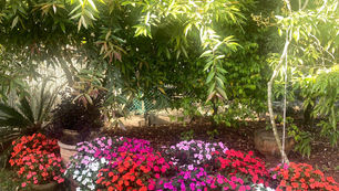 מארזי פרחים ותבלין ממשתלות העוטף