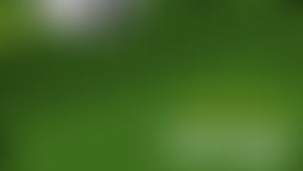 נוער בני דרור מזמין אתכם לשחק