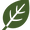 bnei dror icon website (15).png