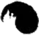 front.png
