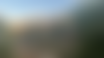 טיול בשביל ישראל בשבת ה - 13.5