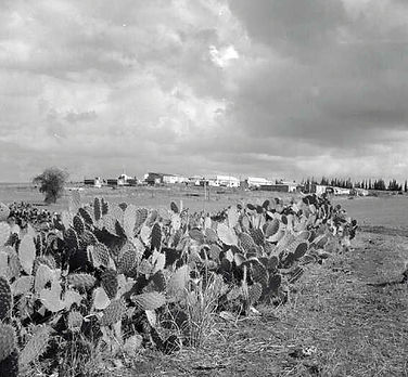 1948 - מבט מצפון לדרום על הבניה בבני דרור.jpg