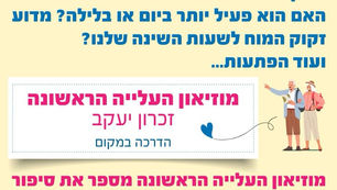 פעילויות ותיקים ותיקים