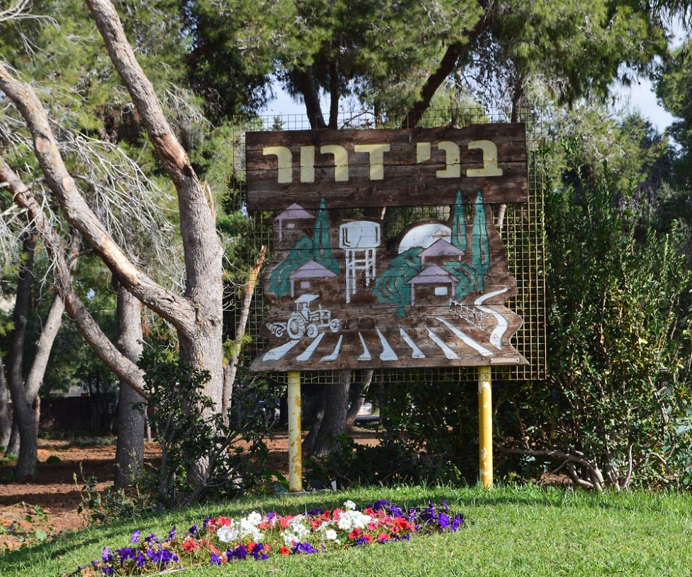 הצהרת נגישות