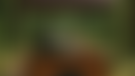 דרושים לעגלתא!