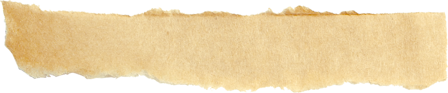 brown-ripped-pieces-paper-white-background 4.png