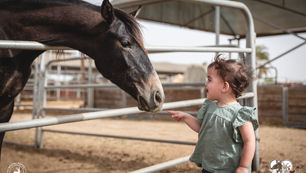 מקלט שיקומי לבעלי חיים