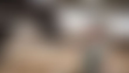 מקלט שיקומי לבעלי חיים