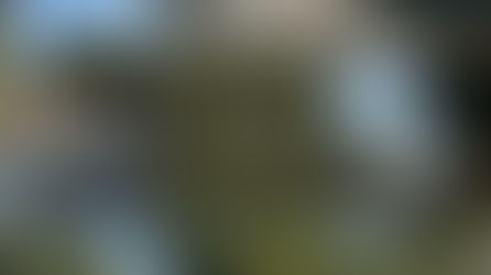 סימון קווי הפרדה