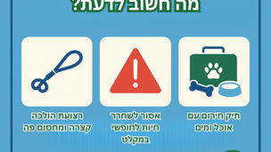 נחיות חשובות לגבי הכנסת חיות מחמד למקלטים