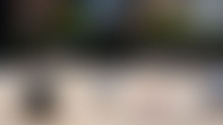 פטאנק בני דרור!