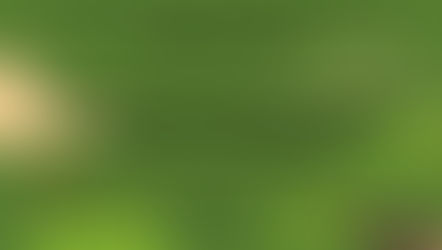 הפנינג מושבי לט"ו בשבט