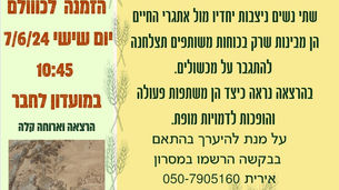 אחוות נשים במגילת רות