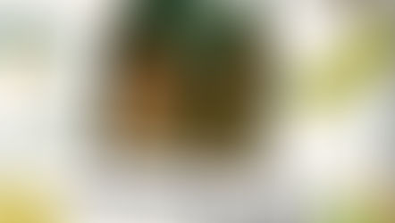 סדנת טרריום לילדים בעגלתא