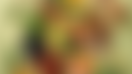 מידע בדבר חלוקת תווי מזון לזכאים