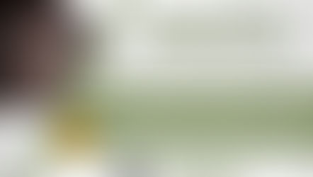 זיכרון בסלון