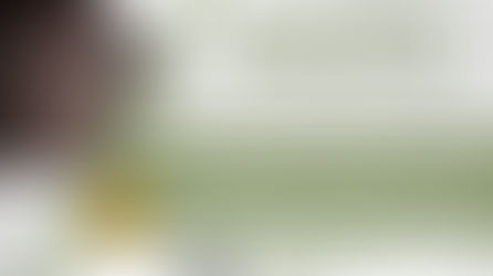 זיכרון בסלון