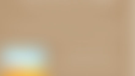 הרצאה - מירי קרימולובסקי