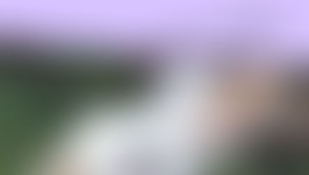 דרוש/ה אחראי/ת פינת חי