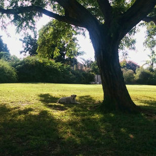 מיקום גן השעשועים שהיה, כעת רחוב הדר מול פורטה (3).jpg