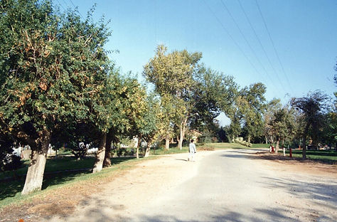 1986 נוף בני דרור.jpg