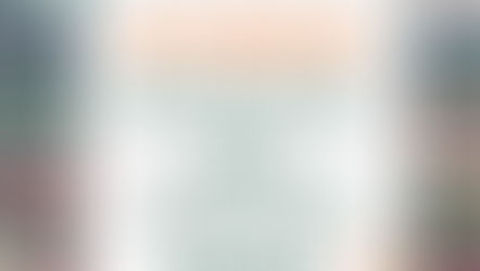 הגשת הסתיגות למועצה איזורית לב השרון