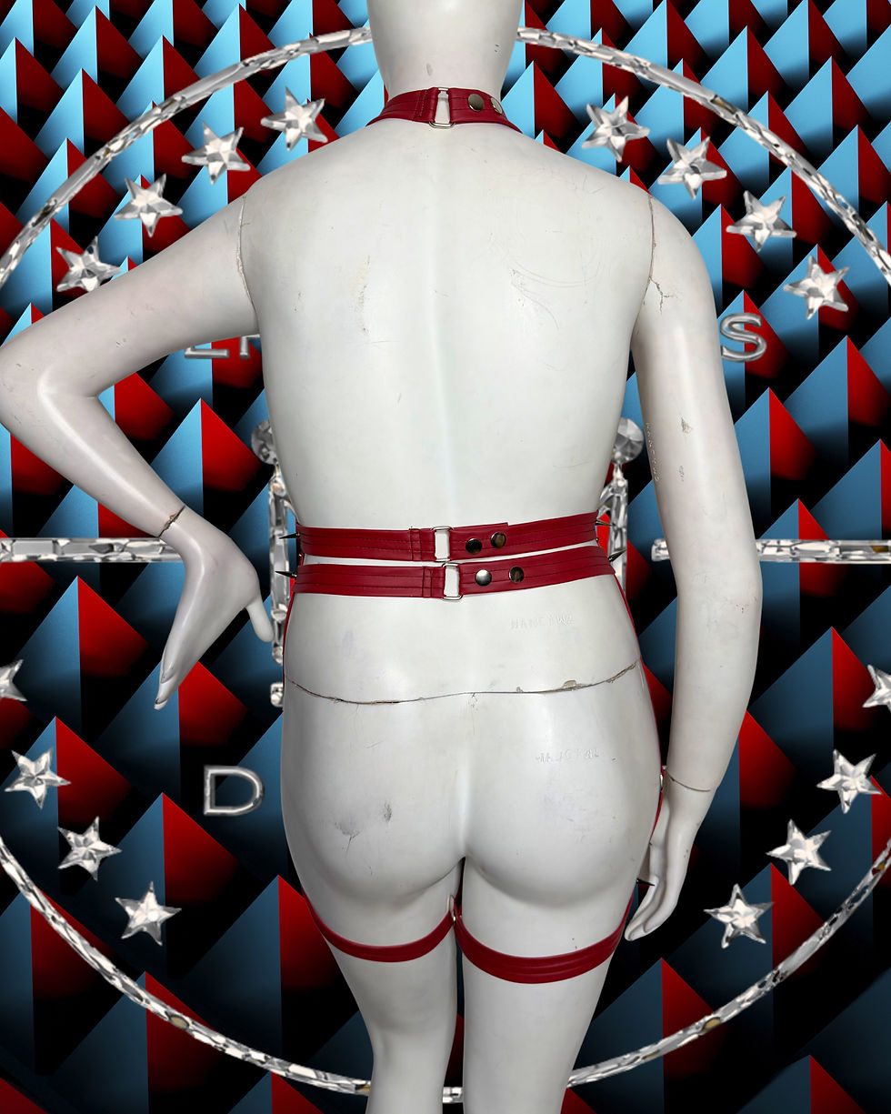 Thumbnail: Spiked Harness