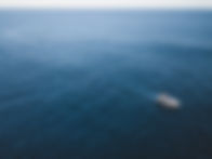 SL Yachting Cabo.jpeg