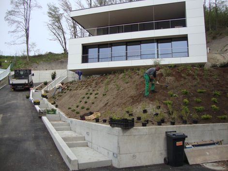 Vorher Böschung.JPG