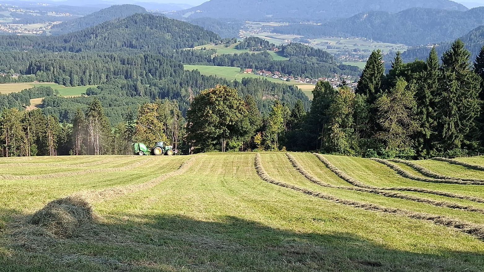 Headerbild Agrardienstleistungen oder Startseite.jpg
