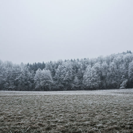 The Silent Language of God