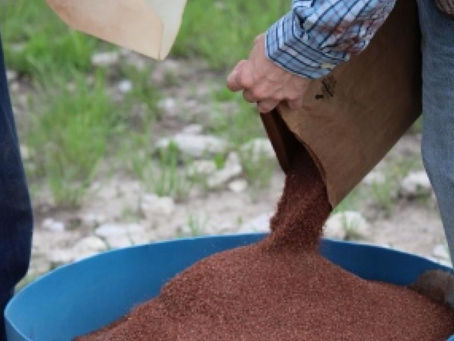 Mineral Supplementation May Be of Extra Benefit This Year