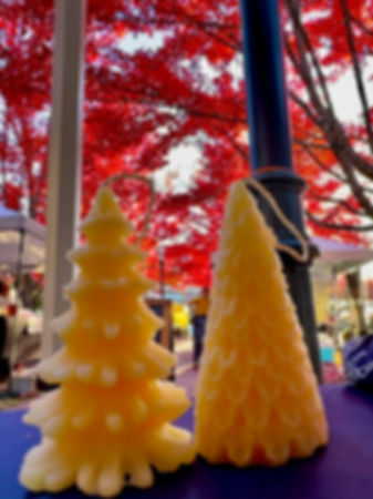 Pure Beeswax Candles