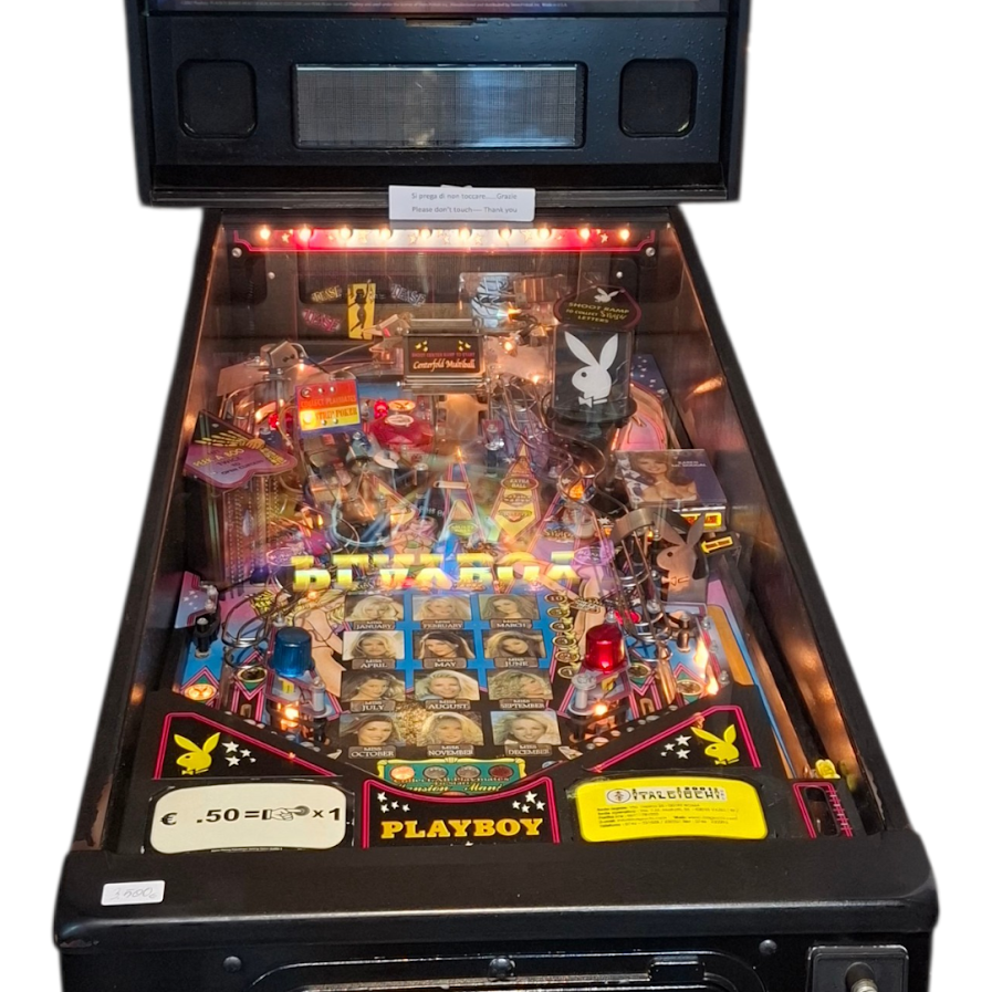 Miniatura: Flipper "PlayBoy" STERN 2001