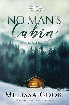 No Man's Cabin.jpg